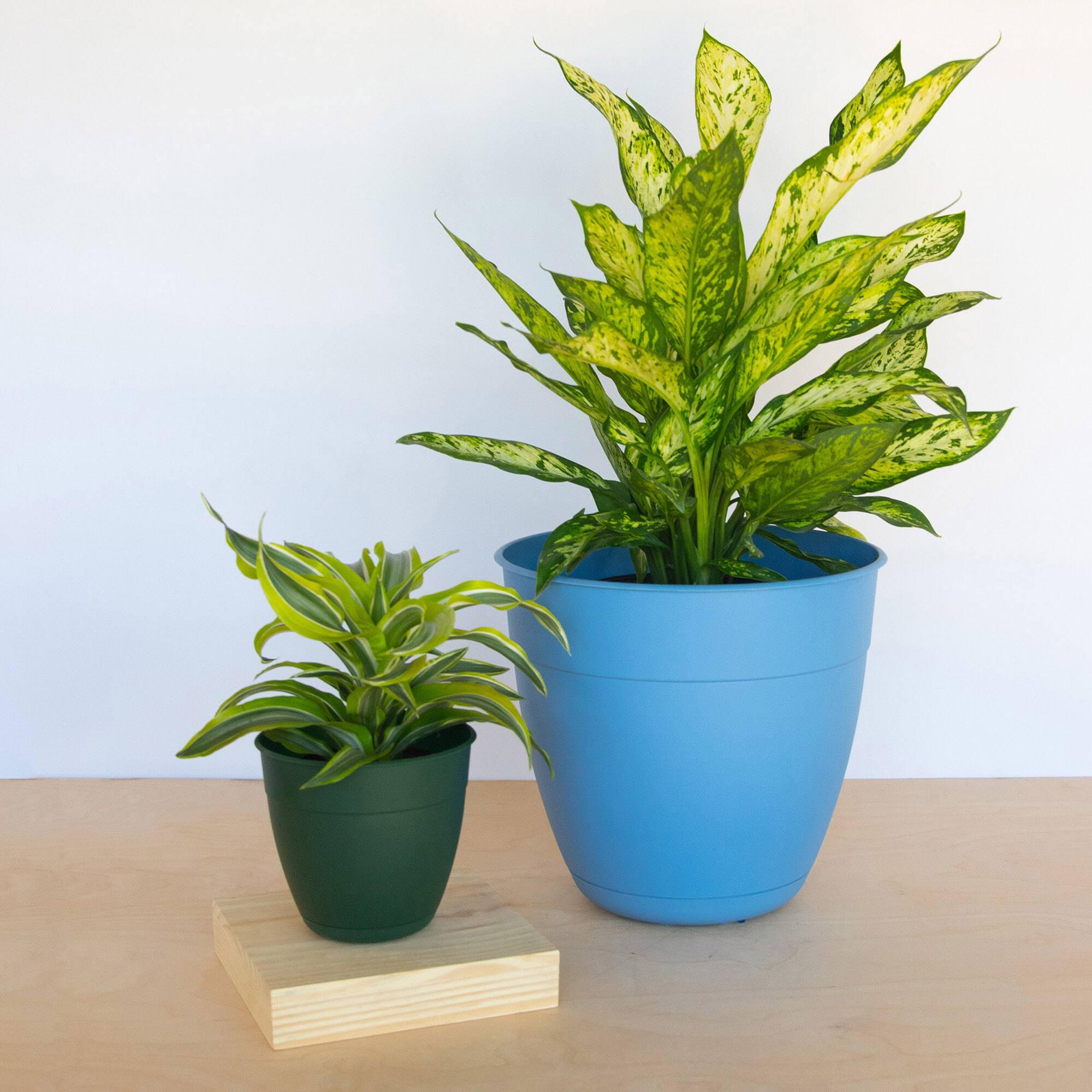 Alt View 5. Bloem - Ocean Blue 12" - Dayton Pot Planter.