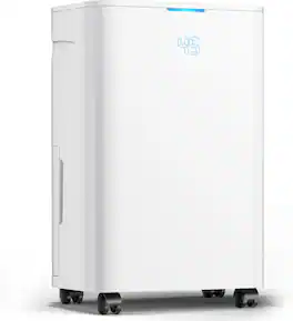 Tolife - V2 Compressor Dehumidifier with Humidity Control and Drain Hose - White