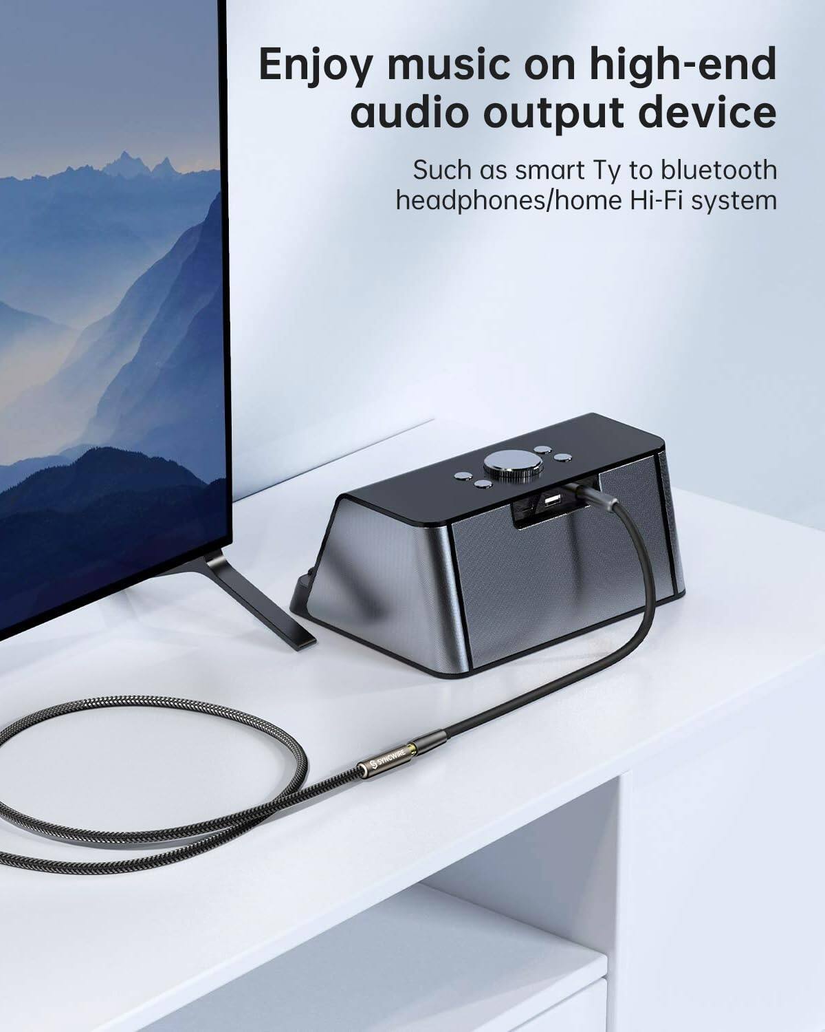 Enjoy music on high-end audio output device  
Such as smart Ty to bluetooth headphones/home Hi-Fi system