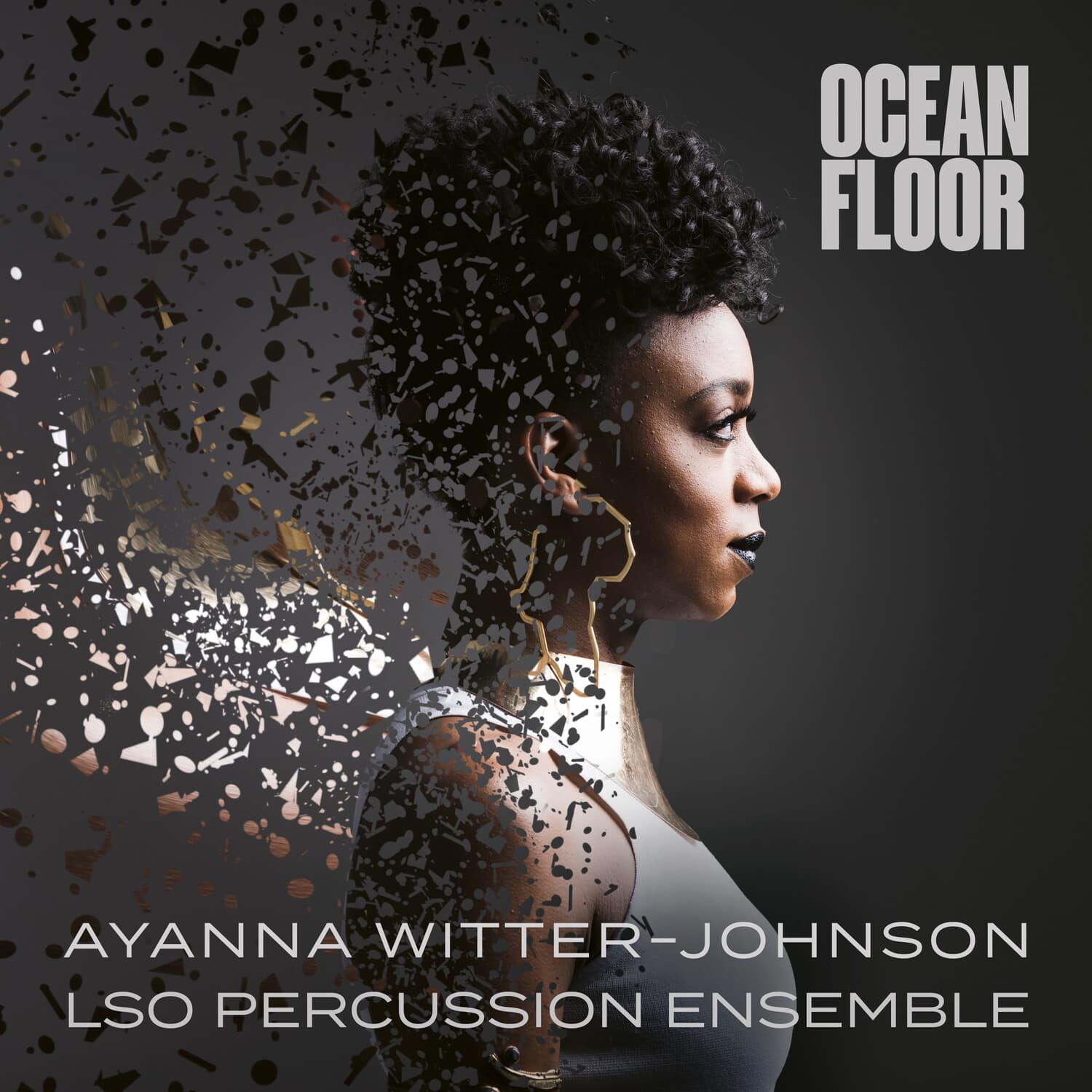 Ayanna Witter-Johnson - Ocean Floor  - VINYL LP