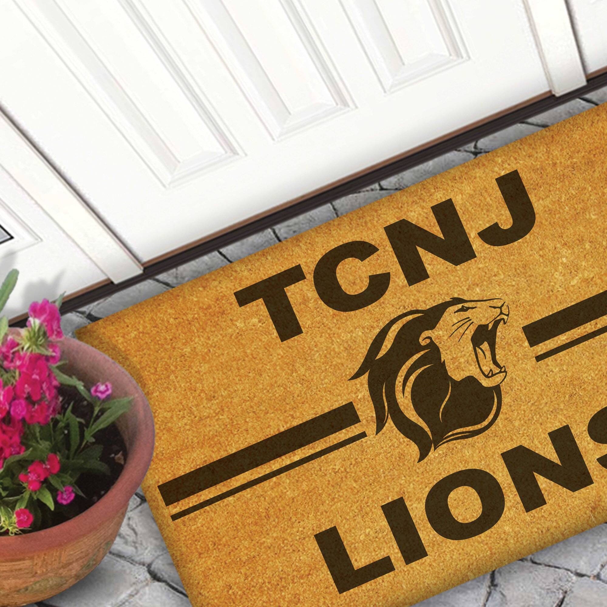 TCNJ  
LIONS