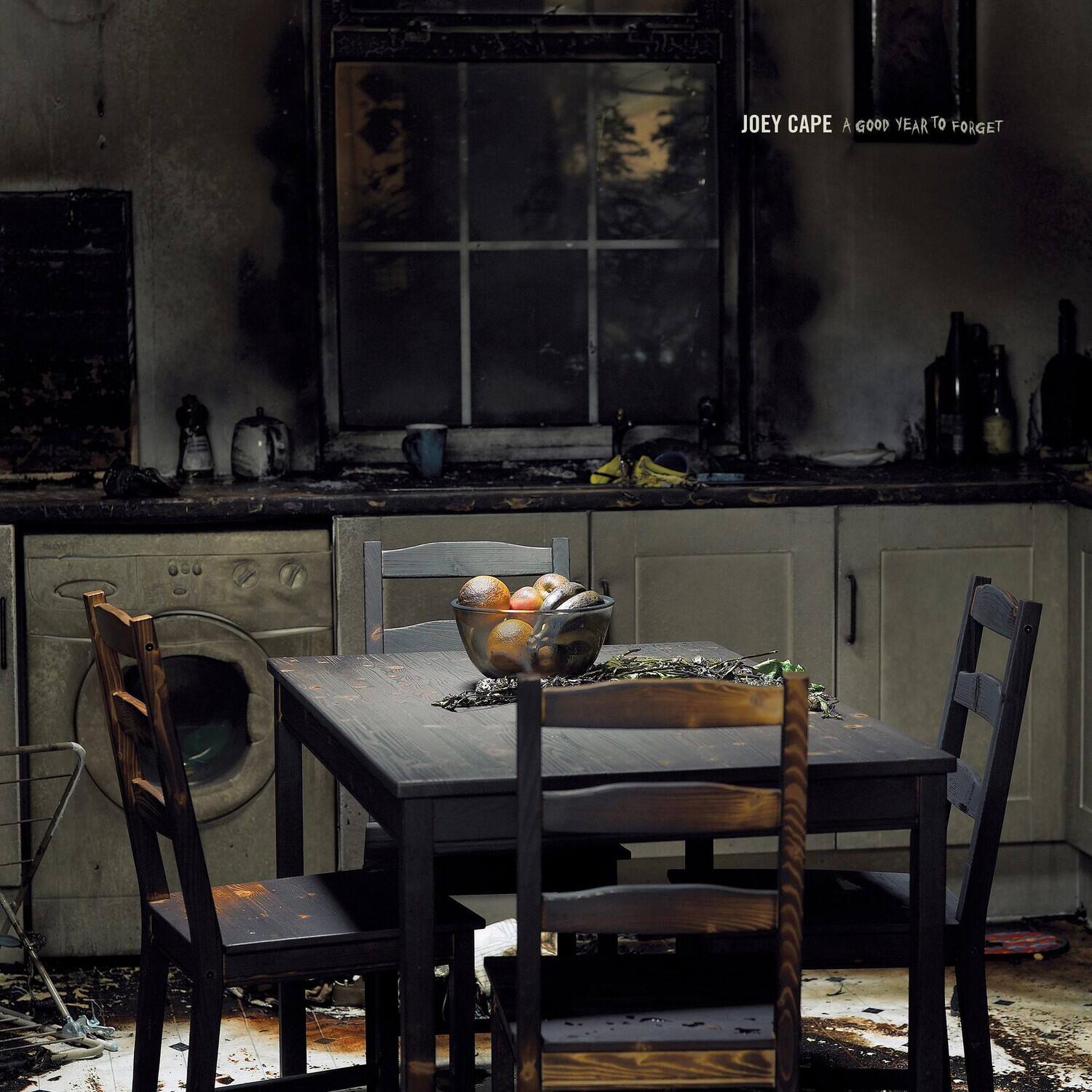 Joey Cape - A Good Year To Forget   - COMPACT DISCS [CD]