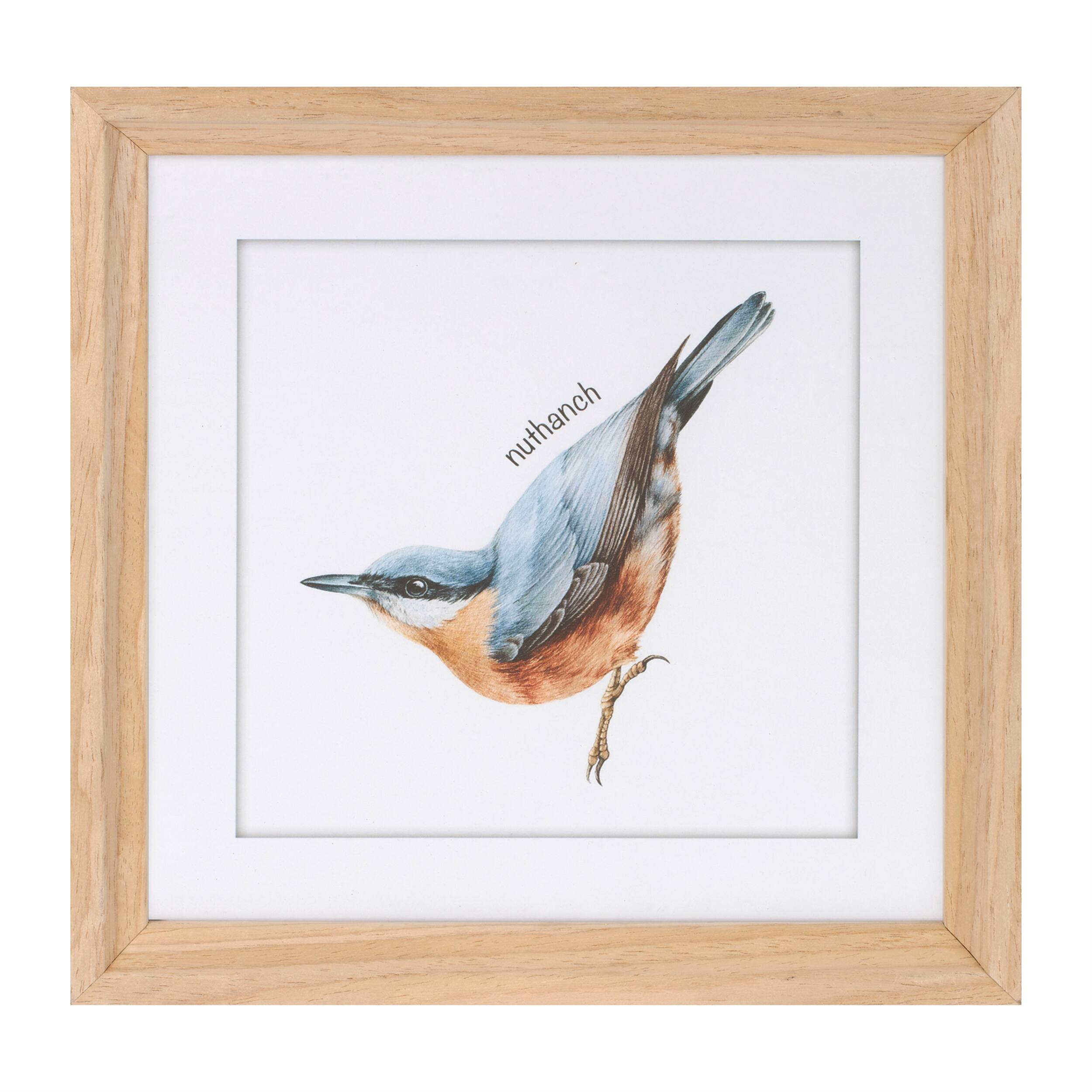 Alt View 2. BreeBe - Framed Bird Print Under Glass (Set of 8) - Blue, Yellow, White.