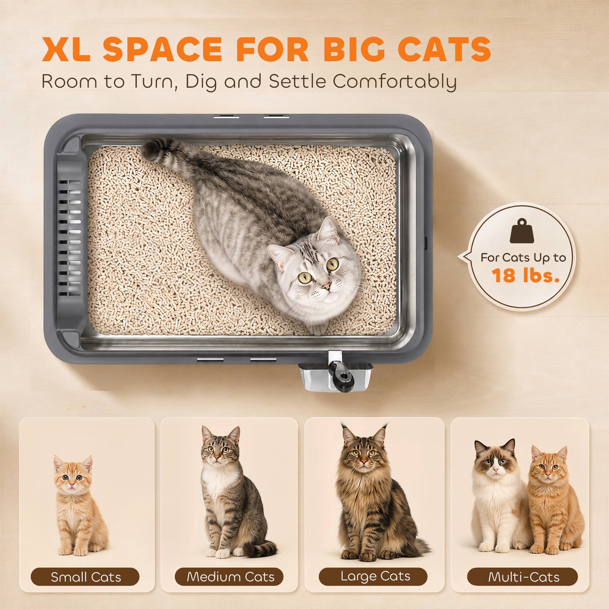 XL SPACE FOR BIG CATS  
Room to Turn, Dig and Settle Comfortably  
For Cats Up to 18 lbs.  
Small Cats  
Medium Cats  
Large Cats  
Multi-Cats