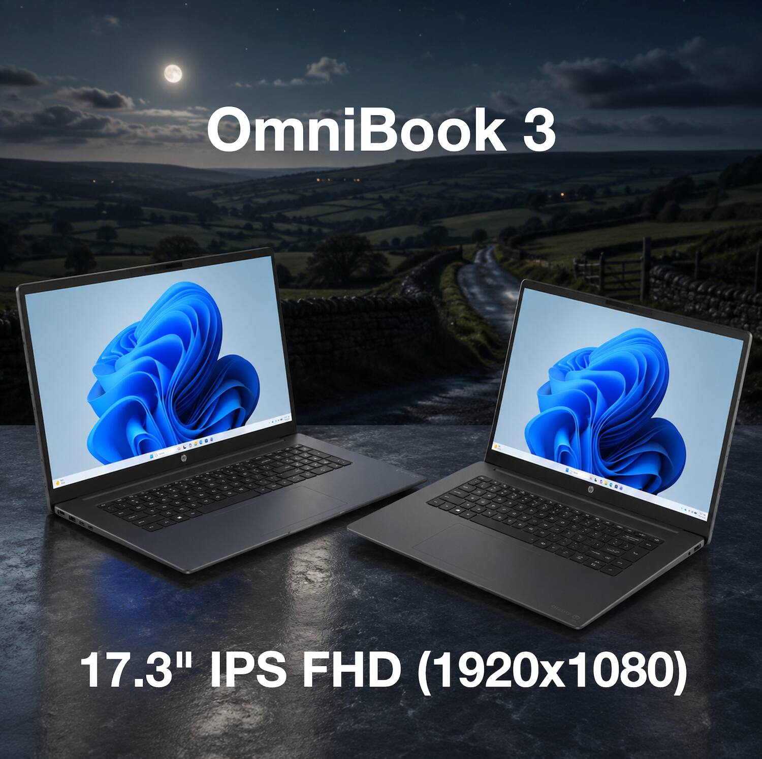OmniBook 3 - a 17.3" IPS FHD (1920x1080)