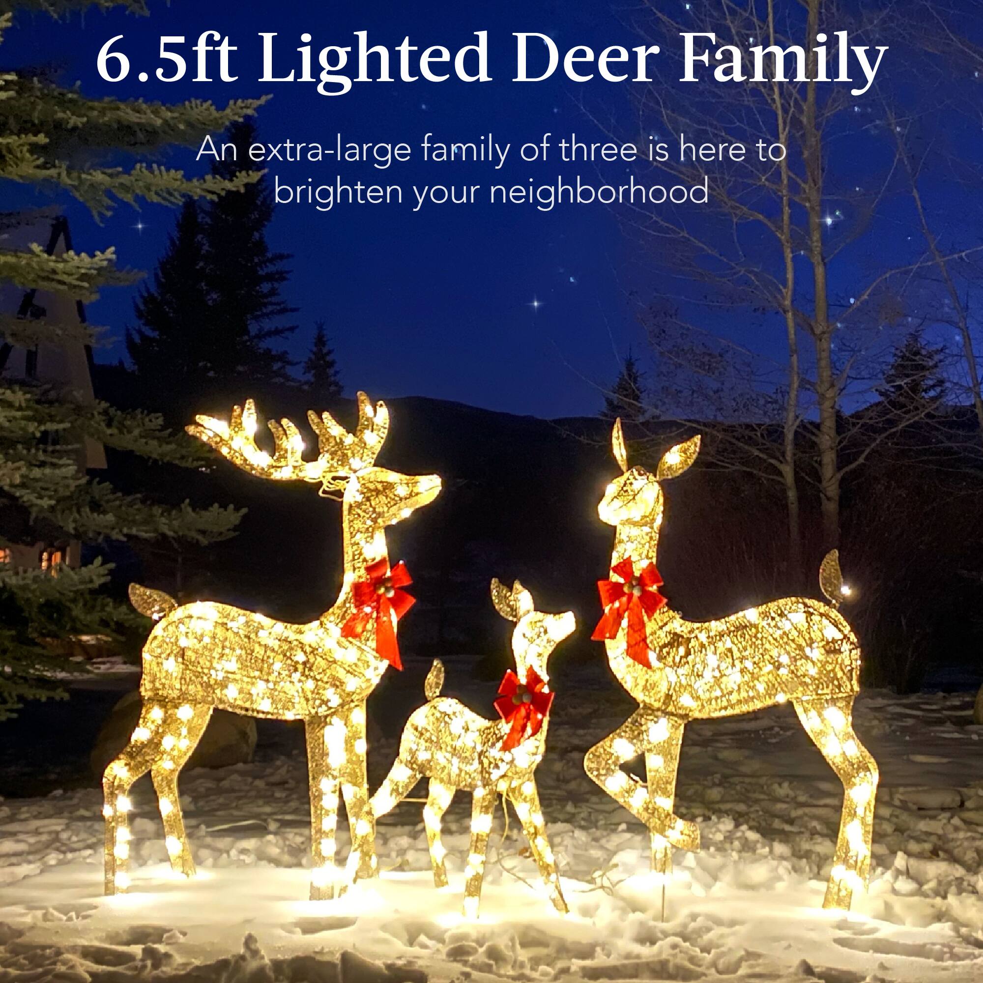6.5ft Lighted Deer Family

An extra-large family of three is here to brighten your neighborhood
