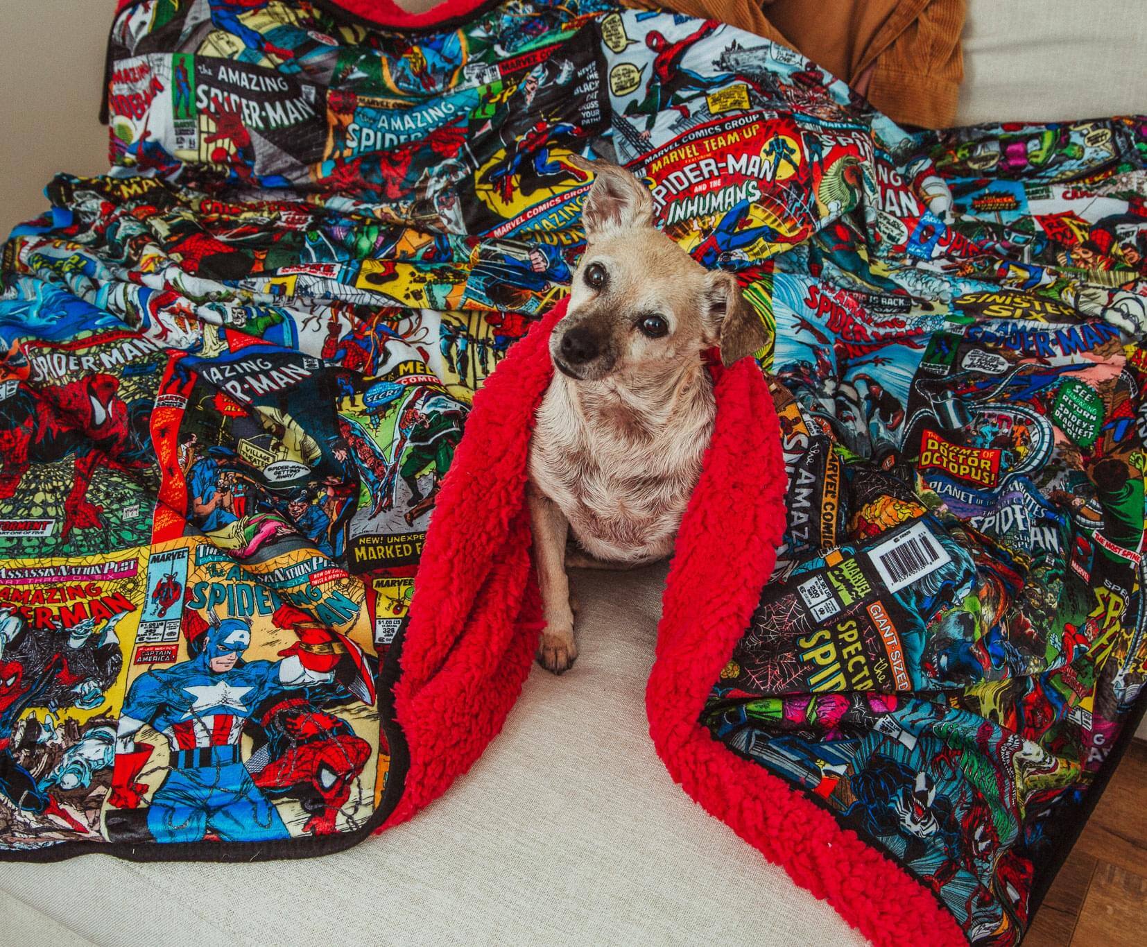 The Marvel Wave Maz Amazing Spider-Man - Amazing Your Group Comics Up Spin Marvel Team 1 Peter-Man And - CNU Marvel Comics Amazing Inhumans And JPIe Back.. Sinister Spiders Six Spider-Man Man Rooer-Man Spio. Amazing Mel R-Mans Comic Renn 332 Spideys a The Des Eon SSARVEL Octopus! Amazing Olanet Sites P Unexpe Comic Spide An, New! T Marked F M Marvel Ississas Muhip A Plst Litrine Maz Amazing Spide Marvelz i ComeN Marvel Spe, R-Man 78 Er Ua Giant Ml Specta M Spide The Sized