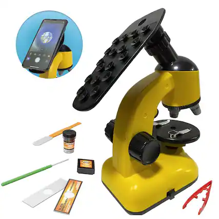 STION Le OS SCENGESE SUDE SPECIMEN il