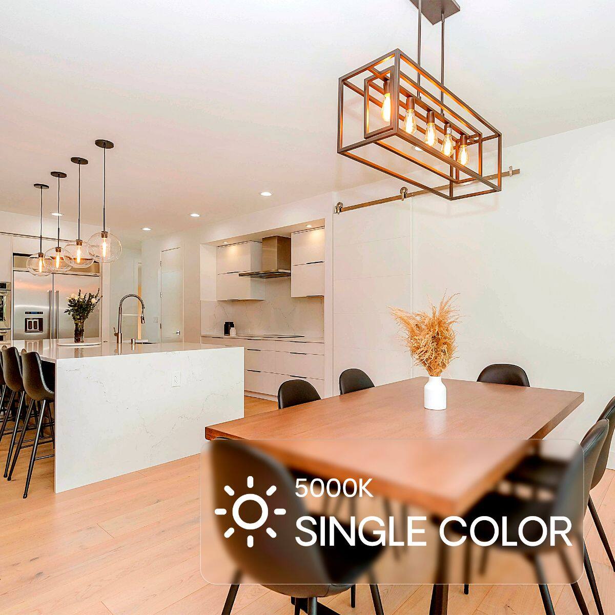 5000K SINGLE COLOR