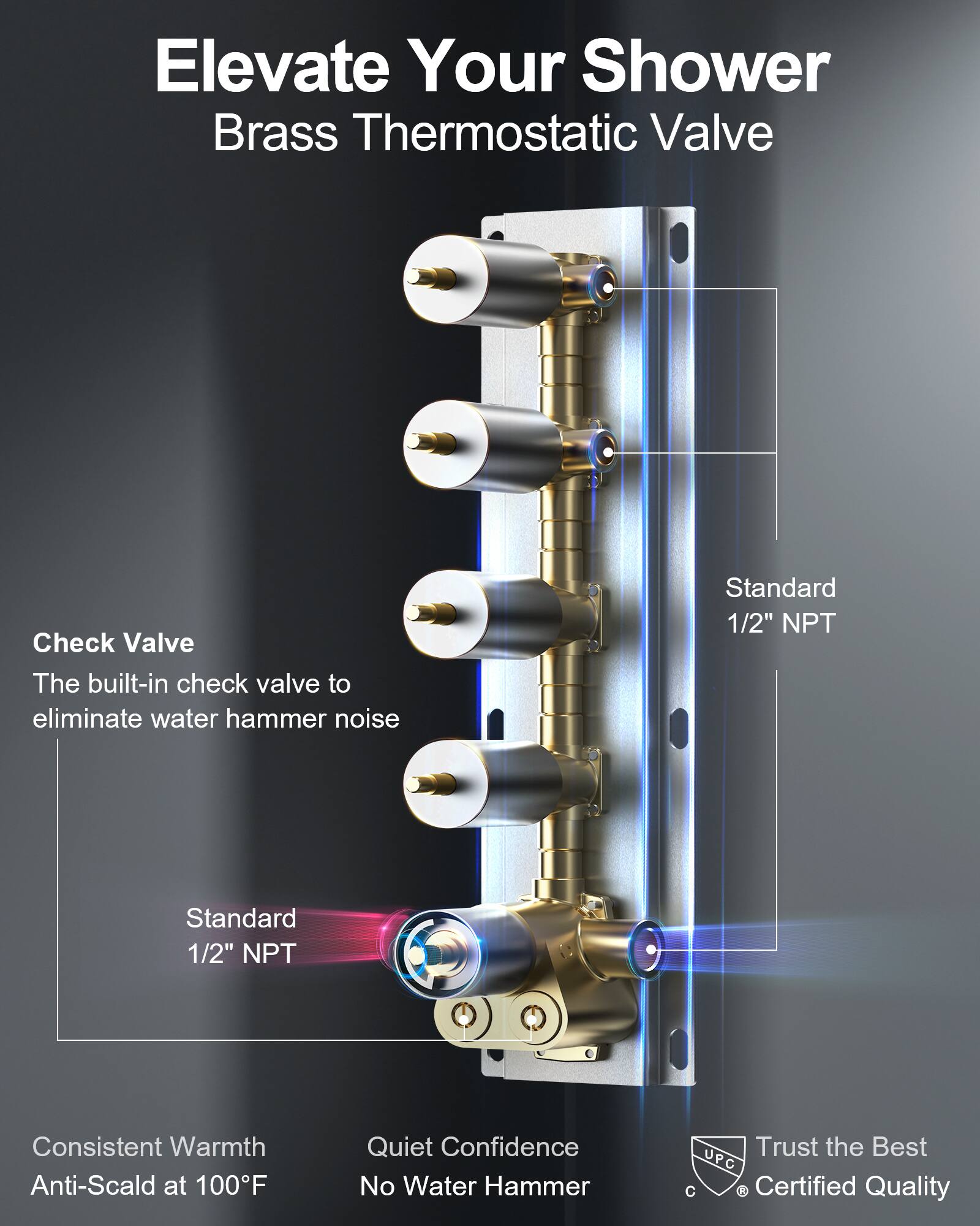 Elevate Your Shower  
Brass Thermostatic Valve

Check Valve  
The built-in check valve to eliminate water hammer noise

Standard 1/2" NPT

Consistent Warmth  
Anti-Scald at 100°F

Quiet Confidence  
No Water Hammer

Trust the Best  
UPC Certified Quality