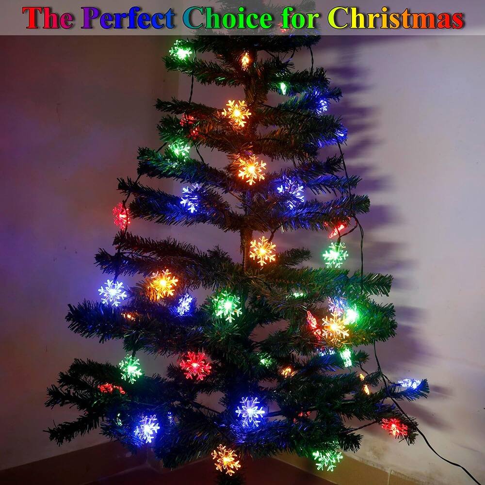 The Perfect Choice for Christmas