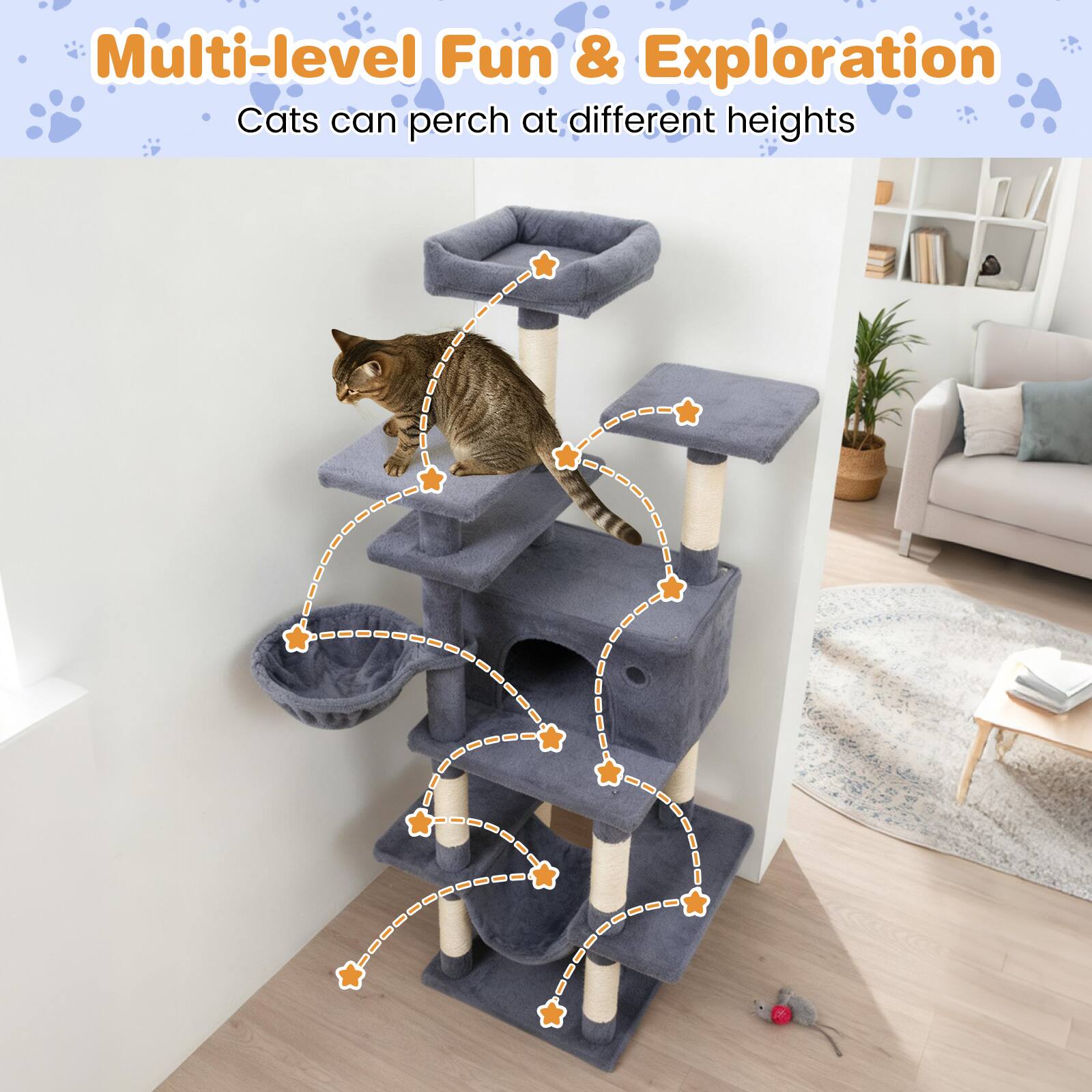 Multi-level Fun & Exploration  
Cats can perch at different heights
