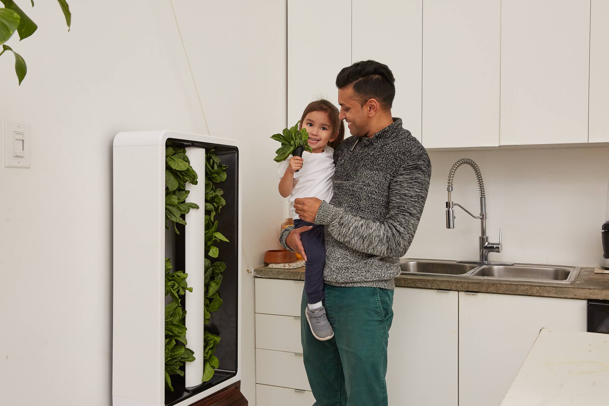 Alt View 8. Just Vertical - EVE Indoor Hydroponic Garden | Modern Furniture-Style Vertical Planter | Grow 12 Fresh Herbs & Vegetables Year-Round - Walnut.