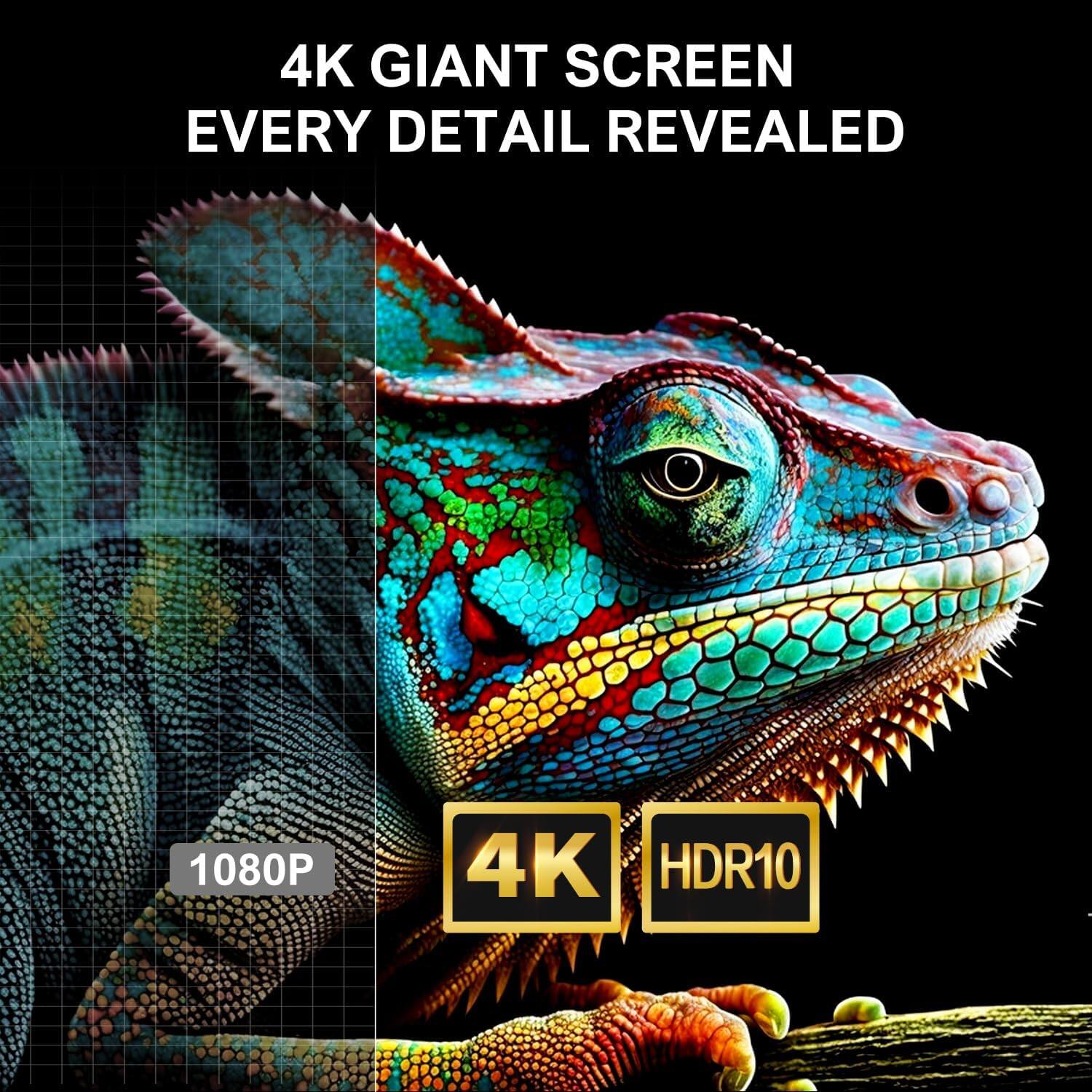 4K GIANT SCREEN  
EVERY DETAIL REVEALED  

1080P  
4K  
HDR10