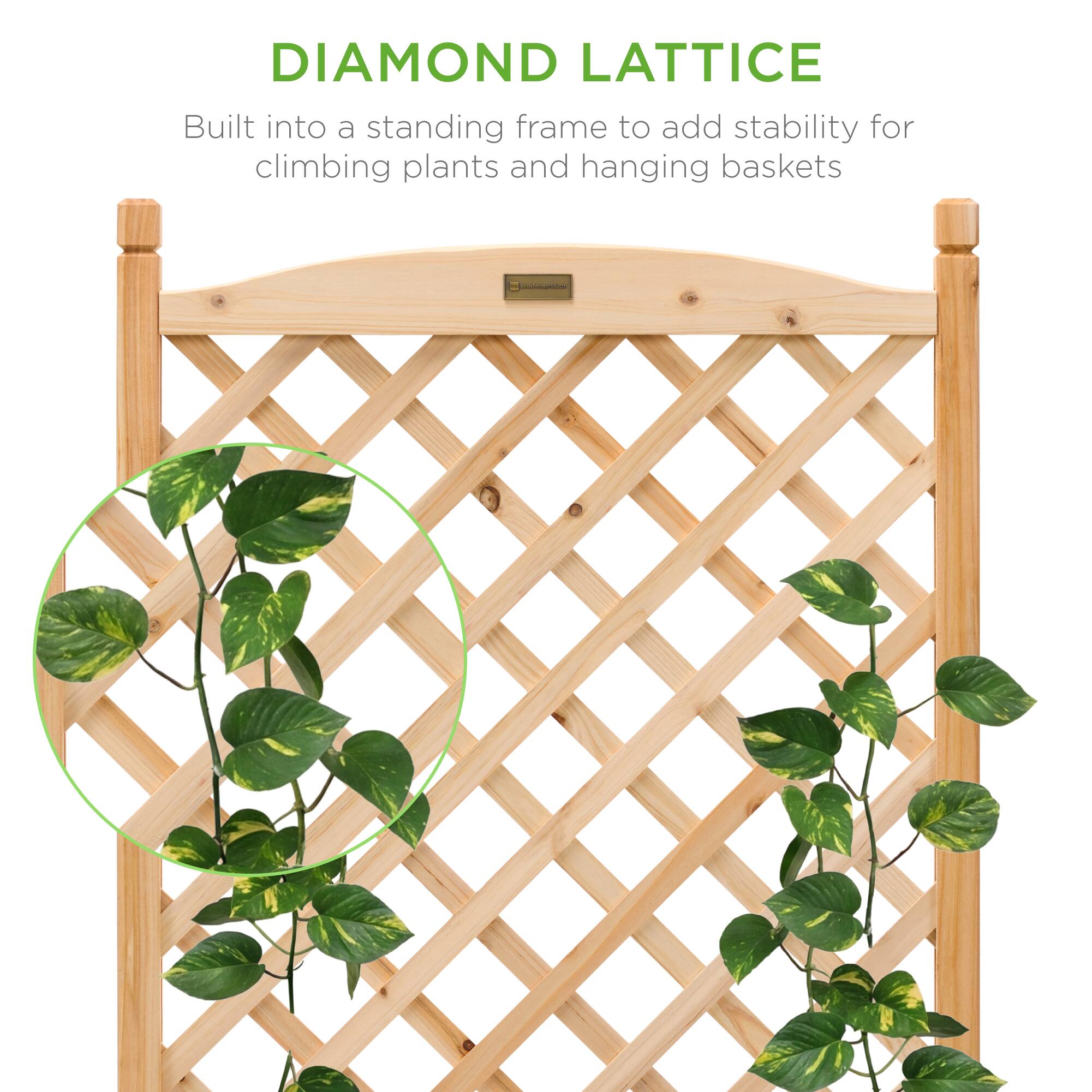 DIAMOND LATTICE  
Built into a standing frame to add stability for climbing plants and hanging baskets