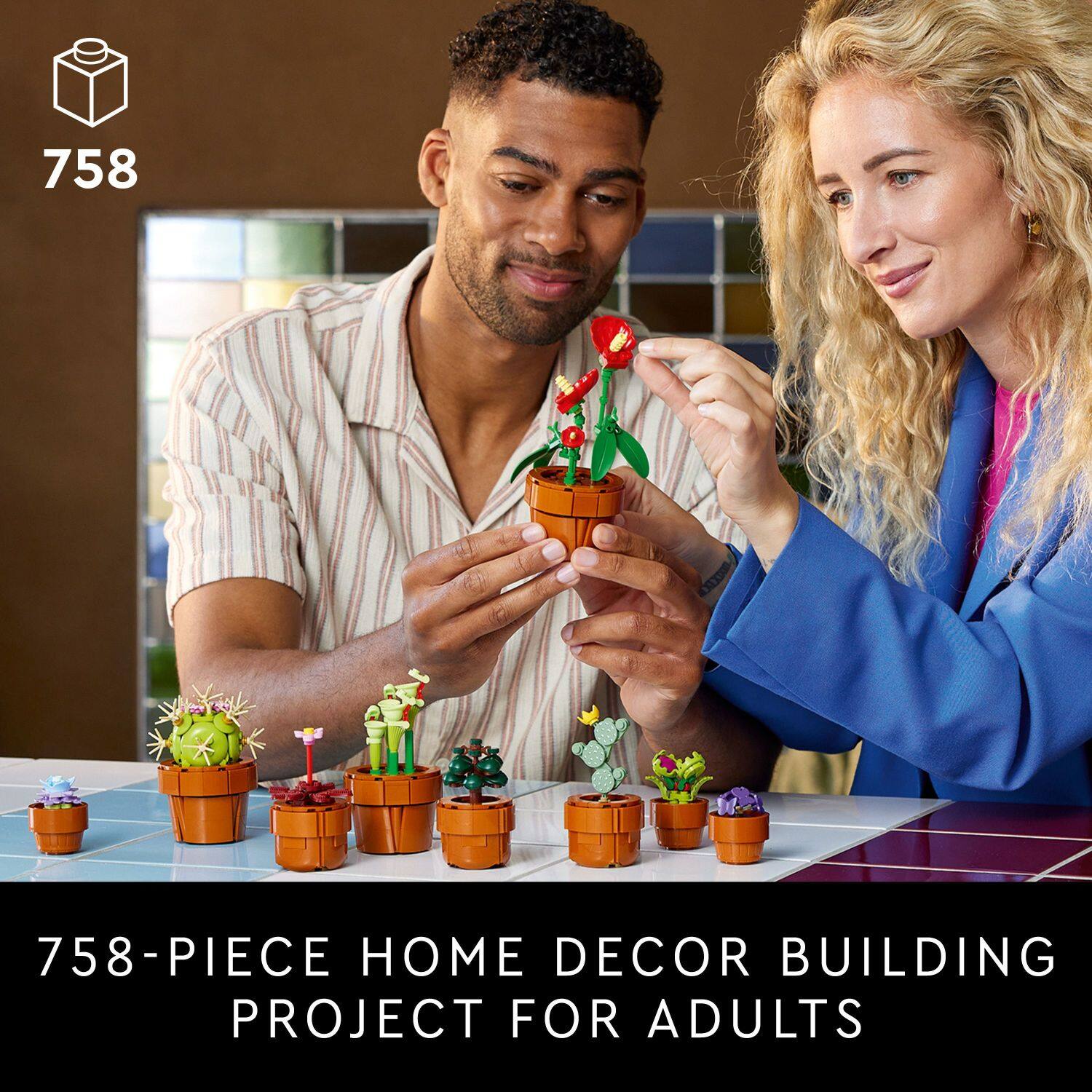 758-PIECE HOME DECOR BUILDING PROJECT FOR ADULTS