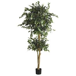 BreeBe - 6' Double Ball Ficus Tree w/1596 - Green