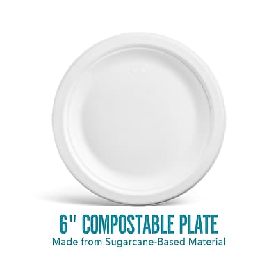 6" Compostable Plate  
Made from Sugarcane-Based Material