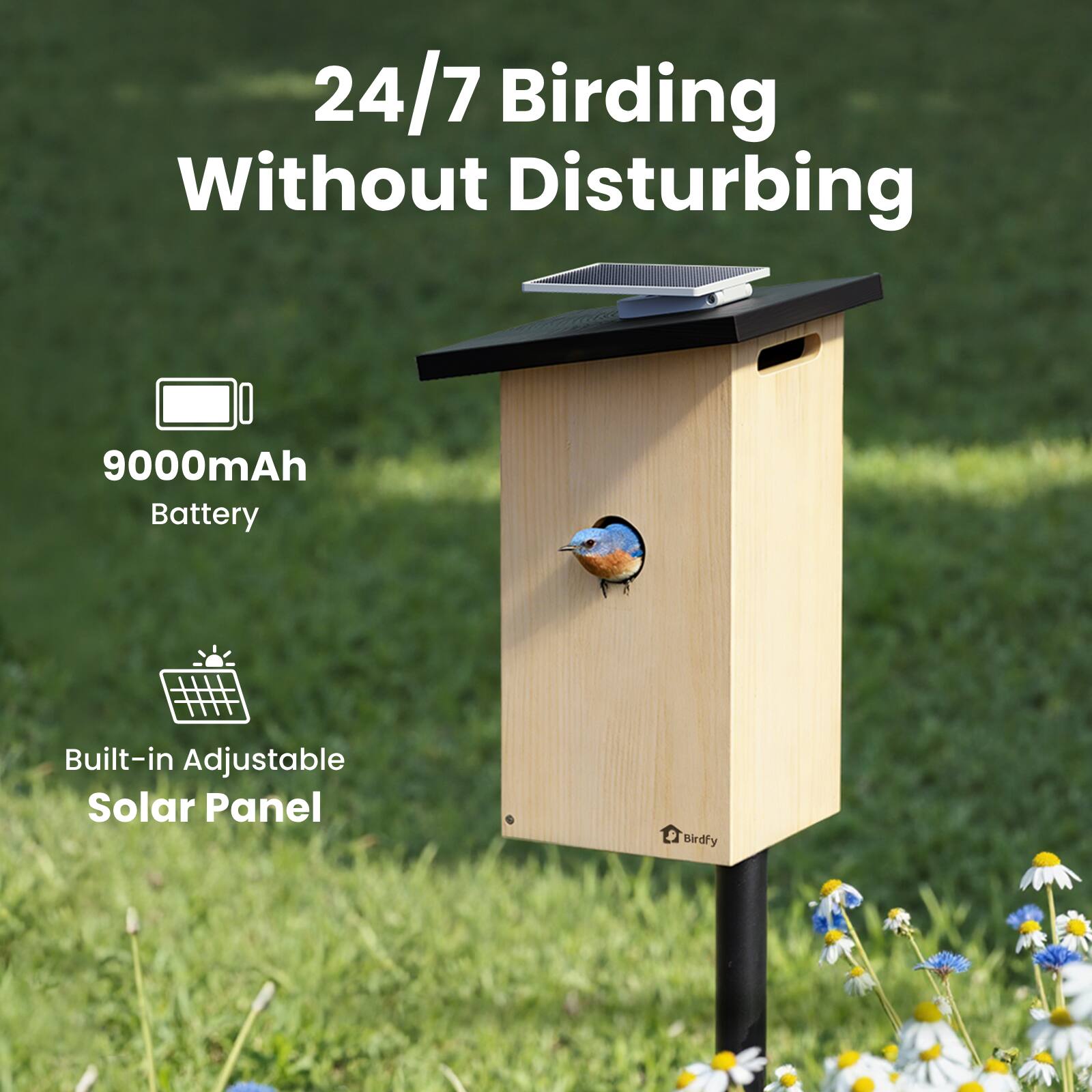 24/7 Birding Without Disturbing

9000mAh Battery

Built-in Adjustable Solar Panel

Birdfy