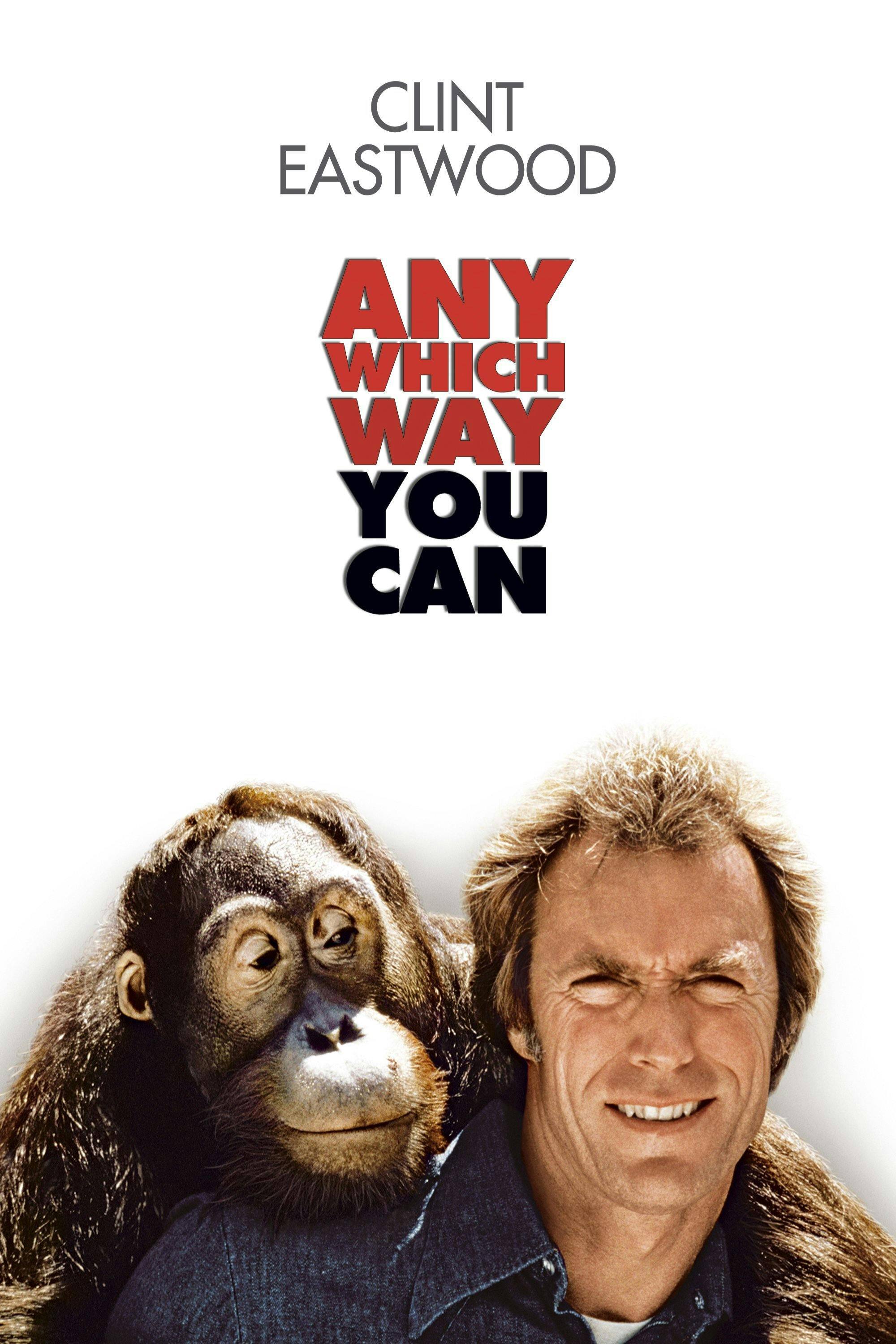 Any Which Way You Can (DVD New Packaging) [DVD] [Standard]
