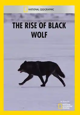 The Rise of Black Wolf - DVD