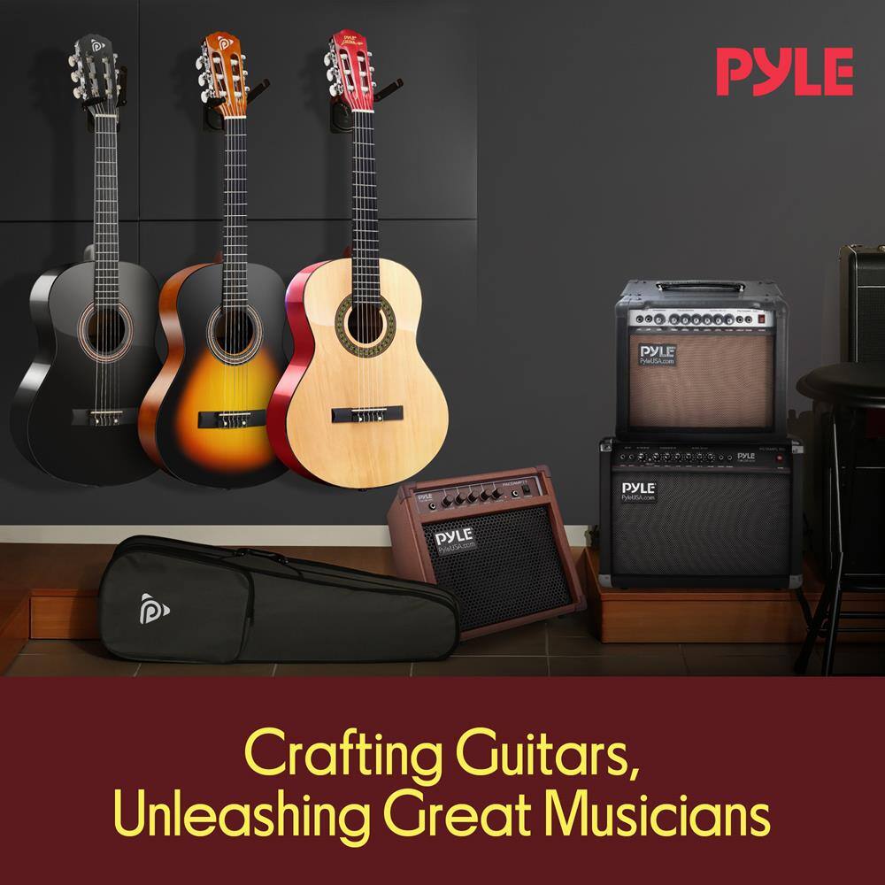 PYLE

Crafting Guitars, Unleashing Great Musicians