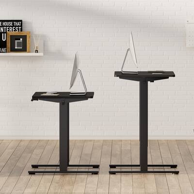 FlexiSpot E2 48''W x 30''D Electric Adjustable Standing Desk FlexiSpot E2 48''W x 30''D Electric Adjustable Standing Desk