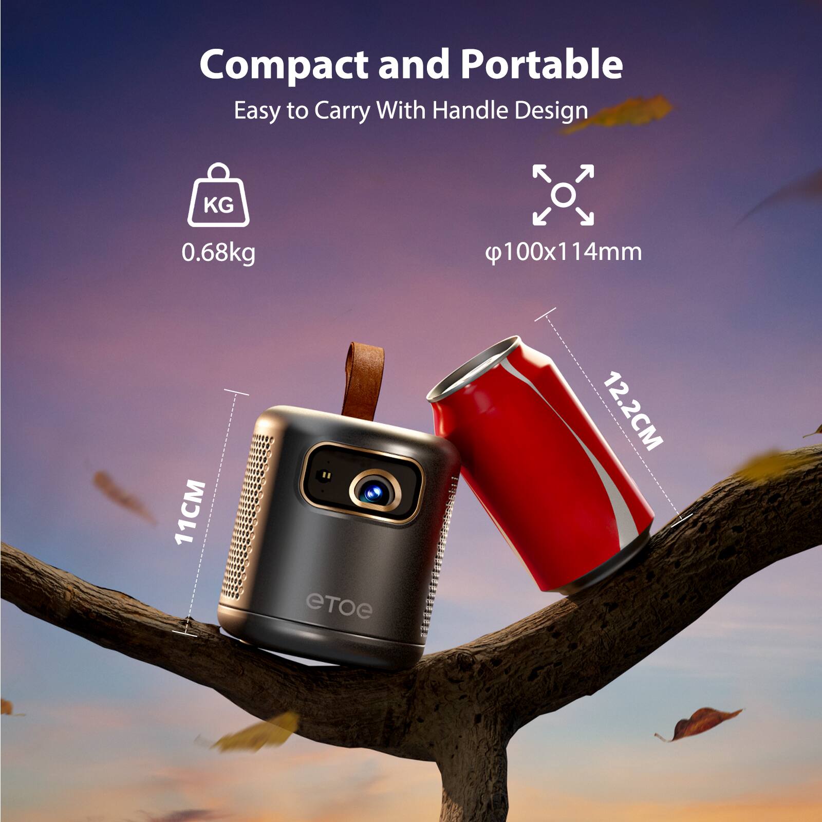 Compact and Portable  
Easy to Carry With Handle Design  
0.68kg  
100x114mm  
11CM  
12.2CM