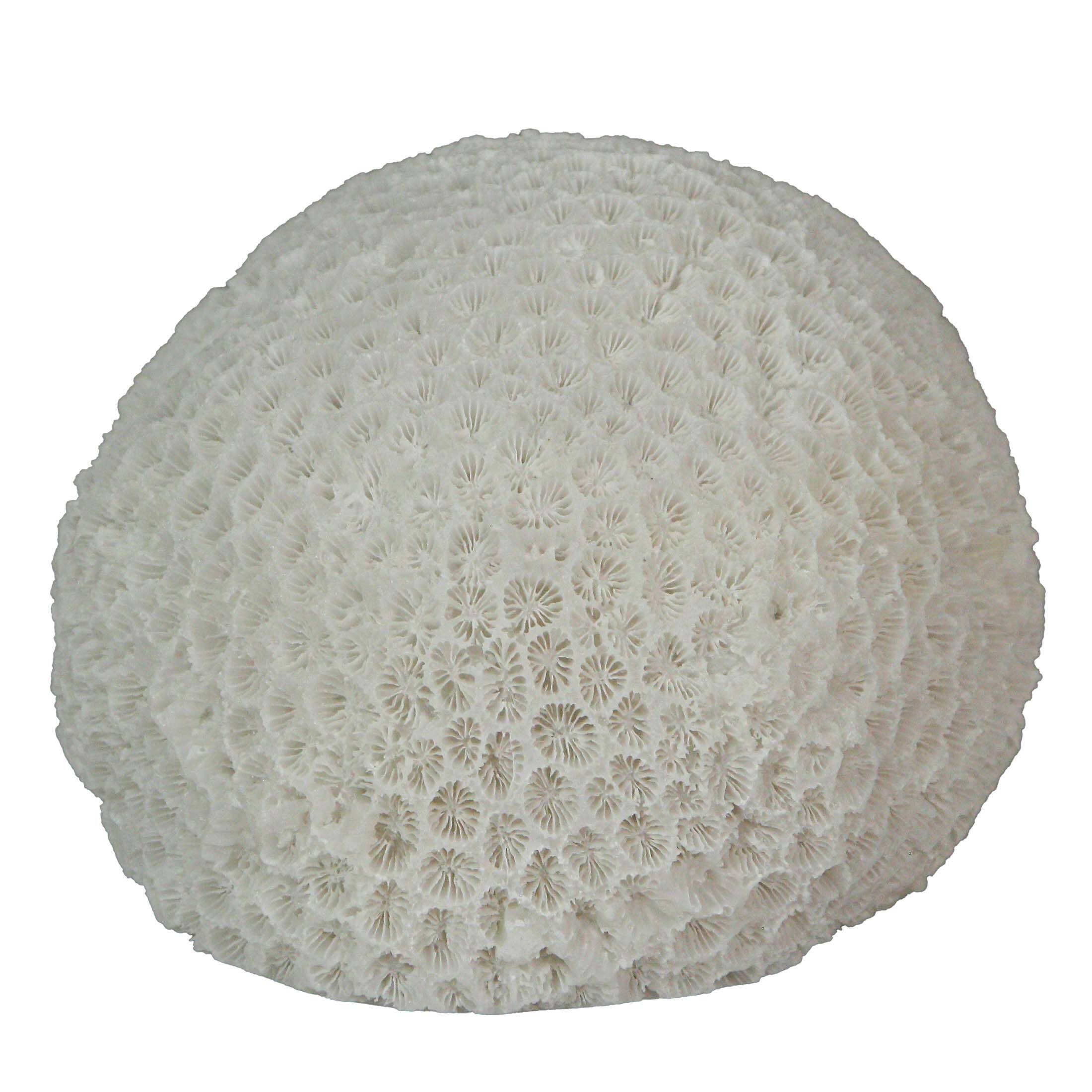 Alt View 1. Contrast Inc. - 6 Inch Resin LED Brain Coral Accent Lamp Decorative Sea Table Light Nautical Home Decor - White.