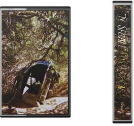 Ty Segall - Possession - CASSETTES