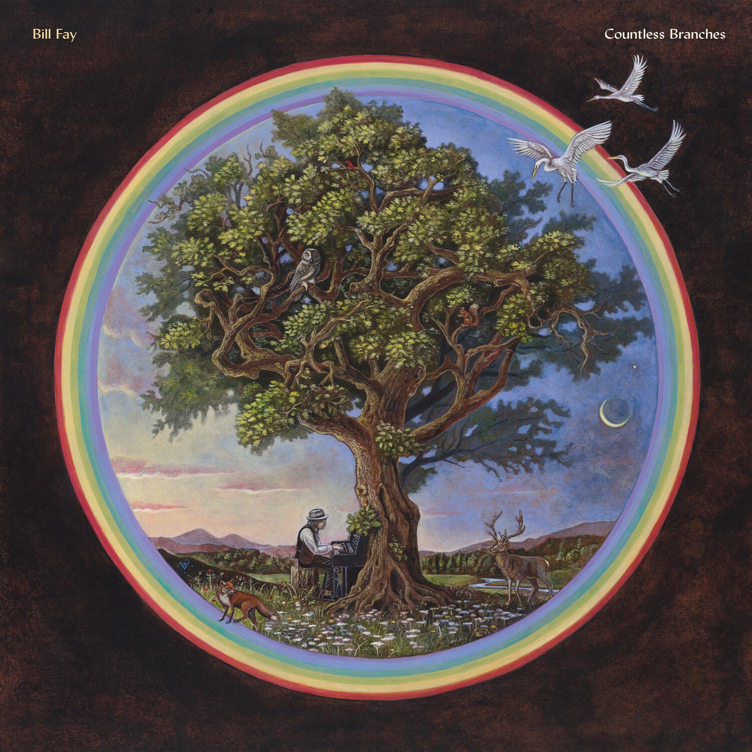 Bill Fay - Countless Branches (Deluxe Edition)   - VINYL LP price history on PriceWatchPro