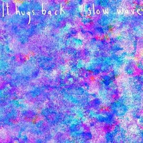 It Hugs Back - Slow Wave   - COMPACT DISCS [CD] price history on PriceWatchPro