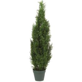 BreeBe - 4' Cedar Tree w/1000 Lvs - Green
