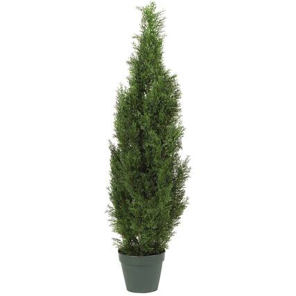 Front. BreeBe - 4' Cedar Tree w/1000 Lvs - Green.