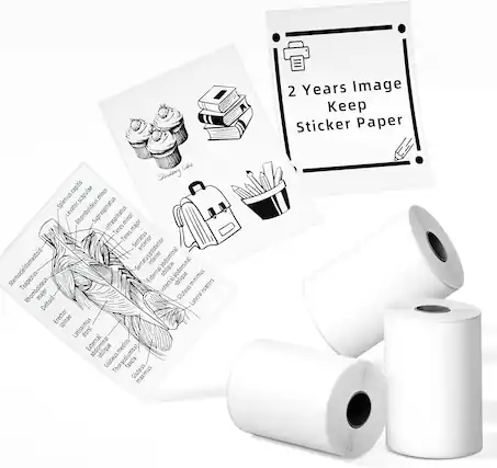 2 Years Image Keep Sticker Paper
- Sternocleidomastoid
- Splenius capitis
- Splenius cervicis
- Levator scapulae
- Supraspinatus
- Infraspinatus
- Teres minor
- Teres major
- Serratus anterior
- Serratus posterior inferior
- Sternocleidomastoid
- Serratus posterior inferior
- Abdominal oblique
- External oblique
- Minimus
- Rhomboid
- Internal Gluteus
- Rotators
- Lateral Deltoid
- Erector spinae
- Latissimus dorsi
- External oblique
- Medius
- Gluteus
- Thoracolumbar fascia
- Gluteus maximus