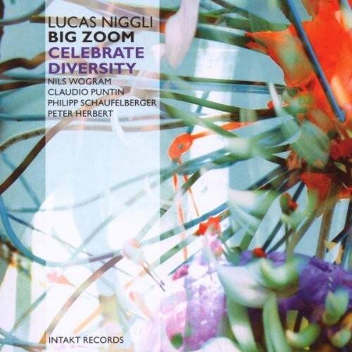 Niggli - Celebrate Diversity Zoom   - COMPACT DISCS [CD] price history on PriceWatchPro