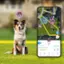 The text on the image can be grouped and corrected as follows:

"ER Scout X Scout updating live... - safe H My Home fence feedback active GPS level high GPS 10h My Map Walk Learn Notifications Settings"

This text describes a dog tracking app that is updating in real-time, with the dog's location being marked on a map. The app is designed to help users monitor their dog's safety and activity, and it includes features such as fence feedback, GPS tracking, and notifications. The app also allows users to customize their settings and learn about their dog's behavior through the "Walk Learn" feature.