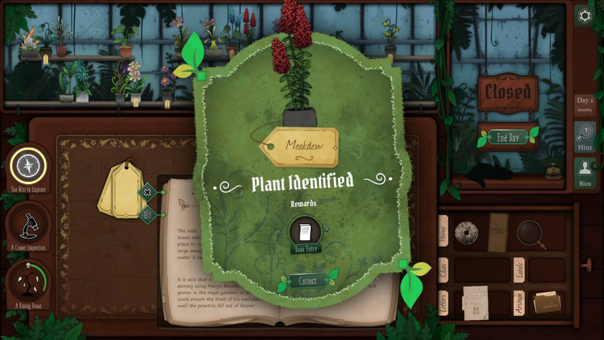 Closed Day 2 Saturday Meakdew End Day ? Hint The Win tO Explore Plant Identified Rewards Bios A Closer Inspection A Rising Dread The wide leaves allow the plant to collect large amounts of water. It is said that a secrecy using Mary's Breath grown in the royal gardens so it could ensure the trust of his confidants until the practice fell out of favour. Book Entry Collect will Items Cues Letters Labels Archie archive