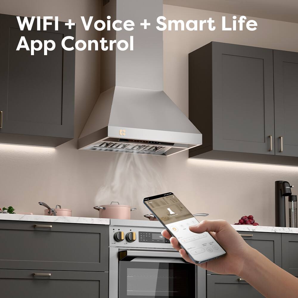 WIFI + Voice + Smart Life  
App Control