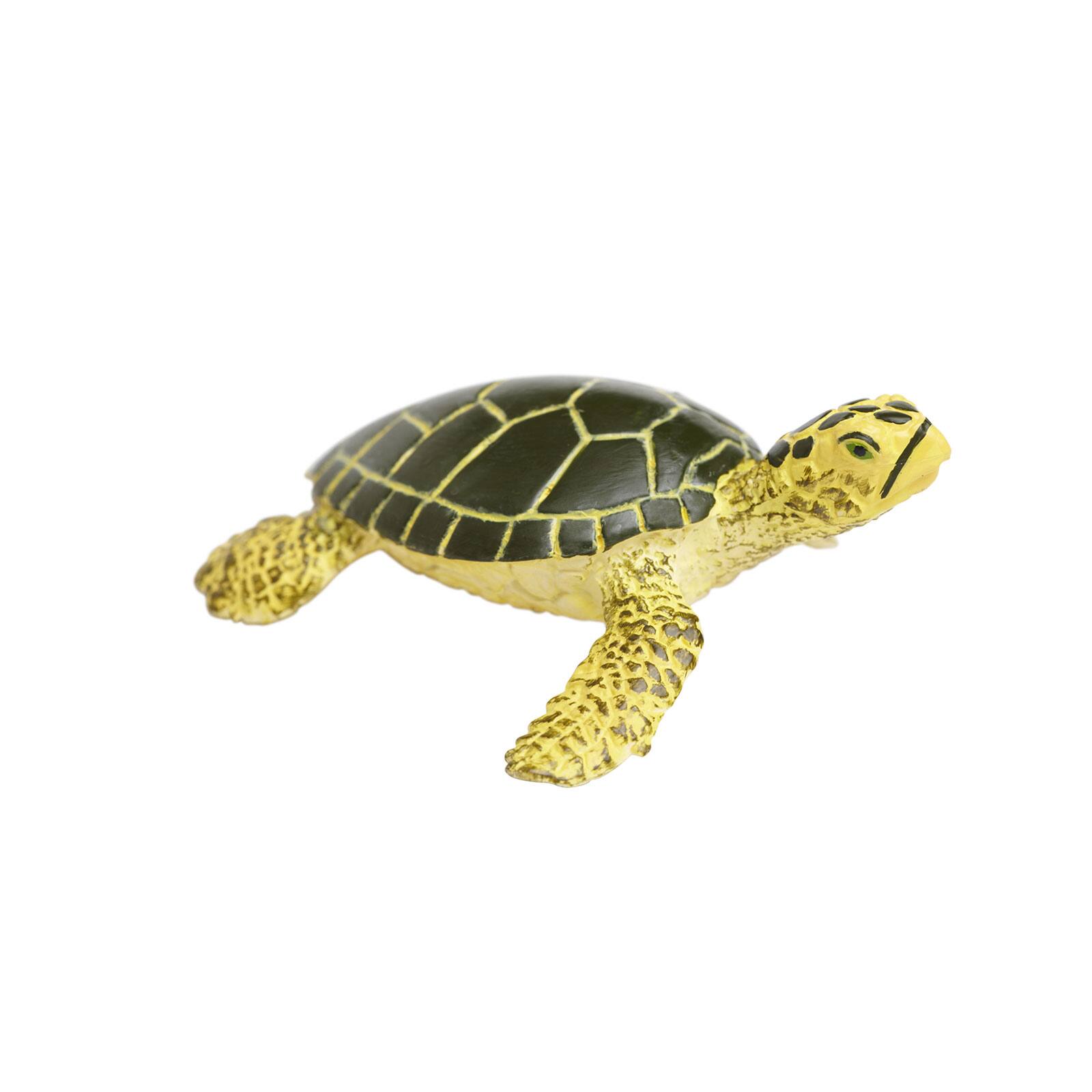 Angle. Safari Ltd. - Green Sea Turtle Baby Toy Figurine.