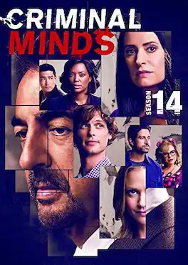 Criminal Minds: Season 14 - DVD