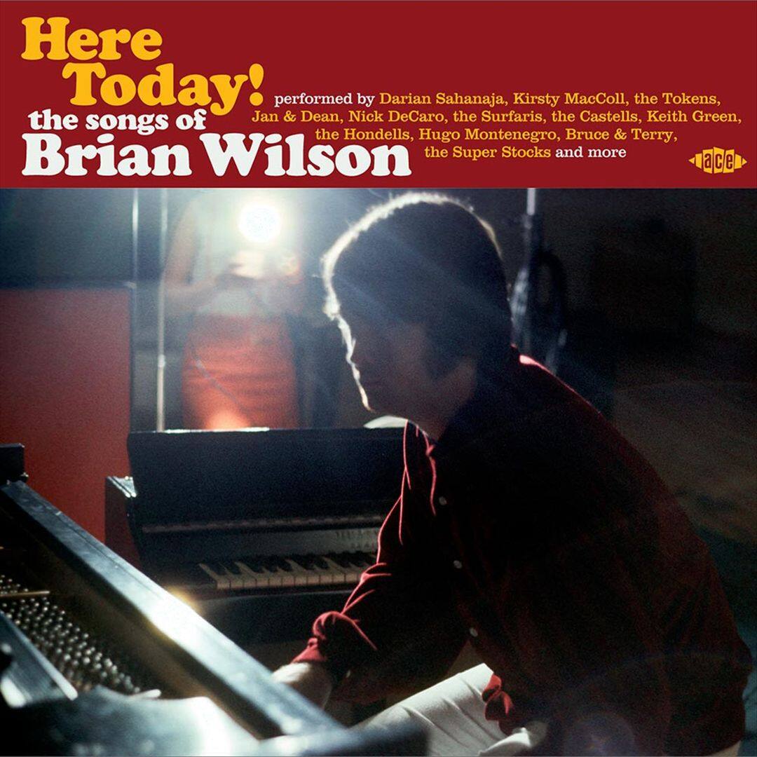 Front. Here Today!: The Songs of Brian Wilson [LP].