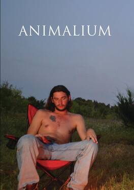 Animalium (MOD) (DVD Movie)