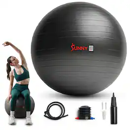 Sunny Health & Fitness - Premium Yoga Ball - Large - Dark Grey Black