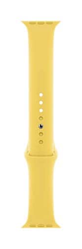 Apple - Watch Band - Sport Band (44mm) - Ginger - Regular - Brown