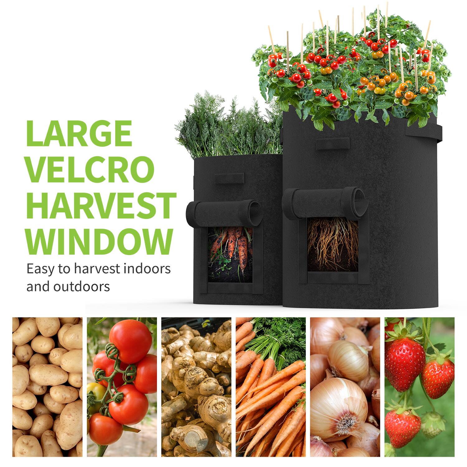 LARGE VELCRO HARVEST WINDOW  
Easy to harvest indoors and outdoors
