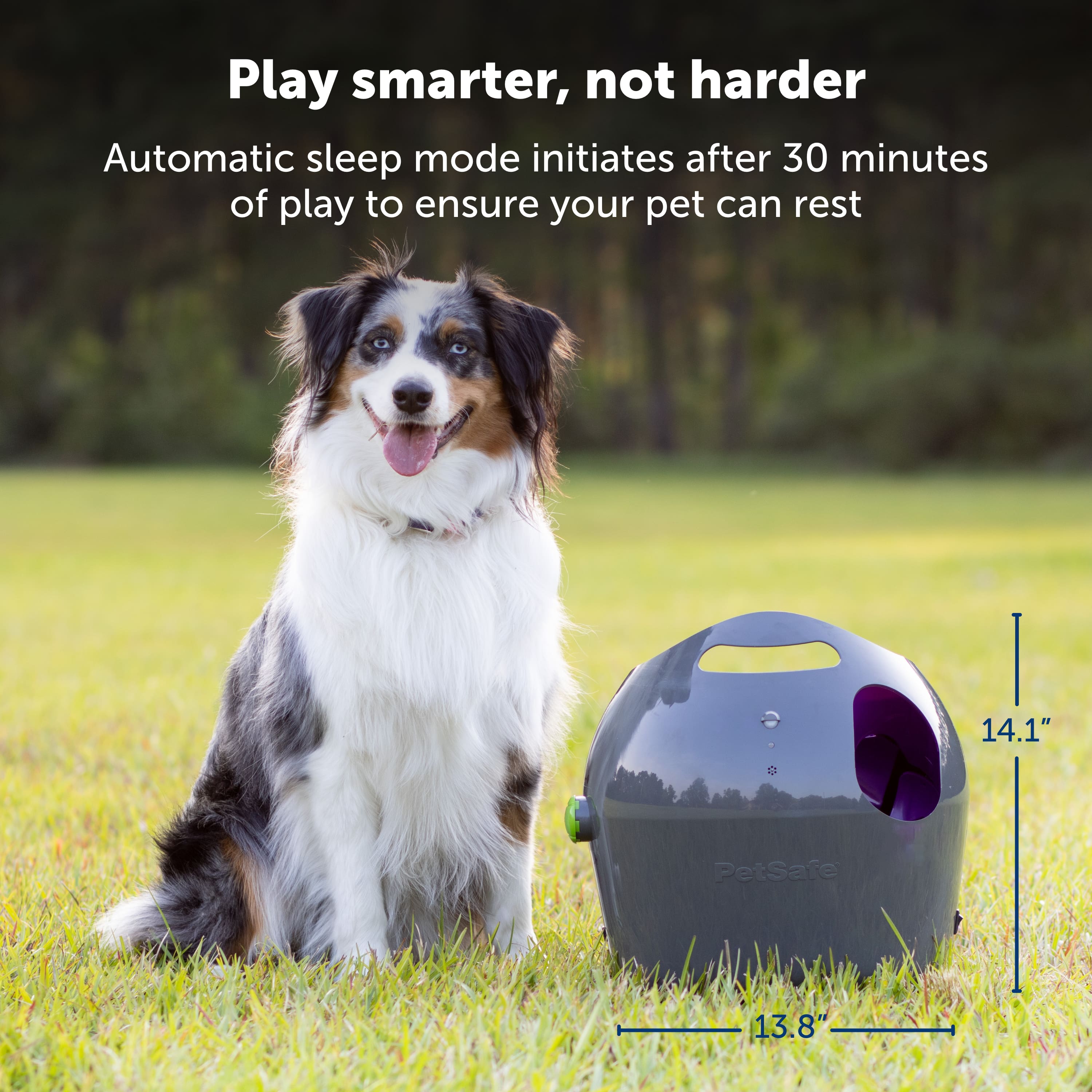 Play smarter, not harder. Automatic sleep mode initiates after 30 minutes of play to ensure your pet can rest. 14.1" PetSafe 13.8"