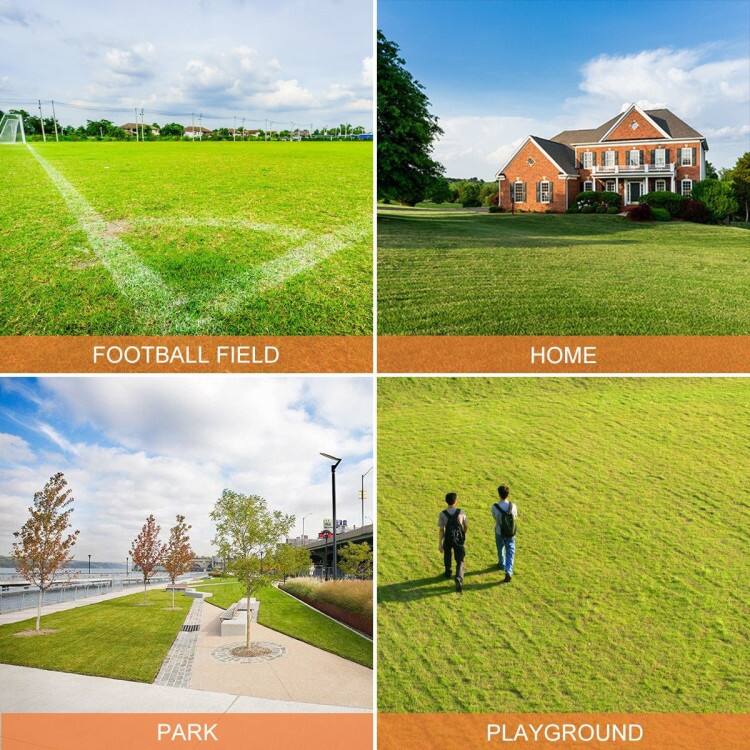 FOOTBALL FIELD, HOME, PARK, PLAYGROUND