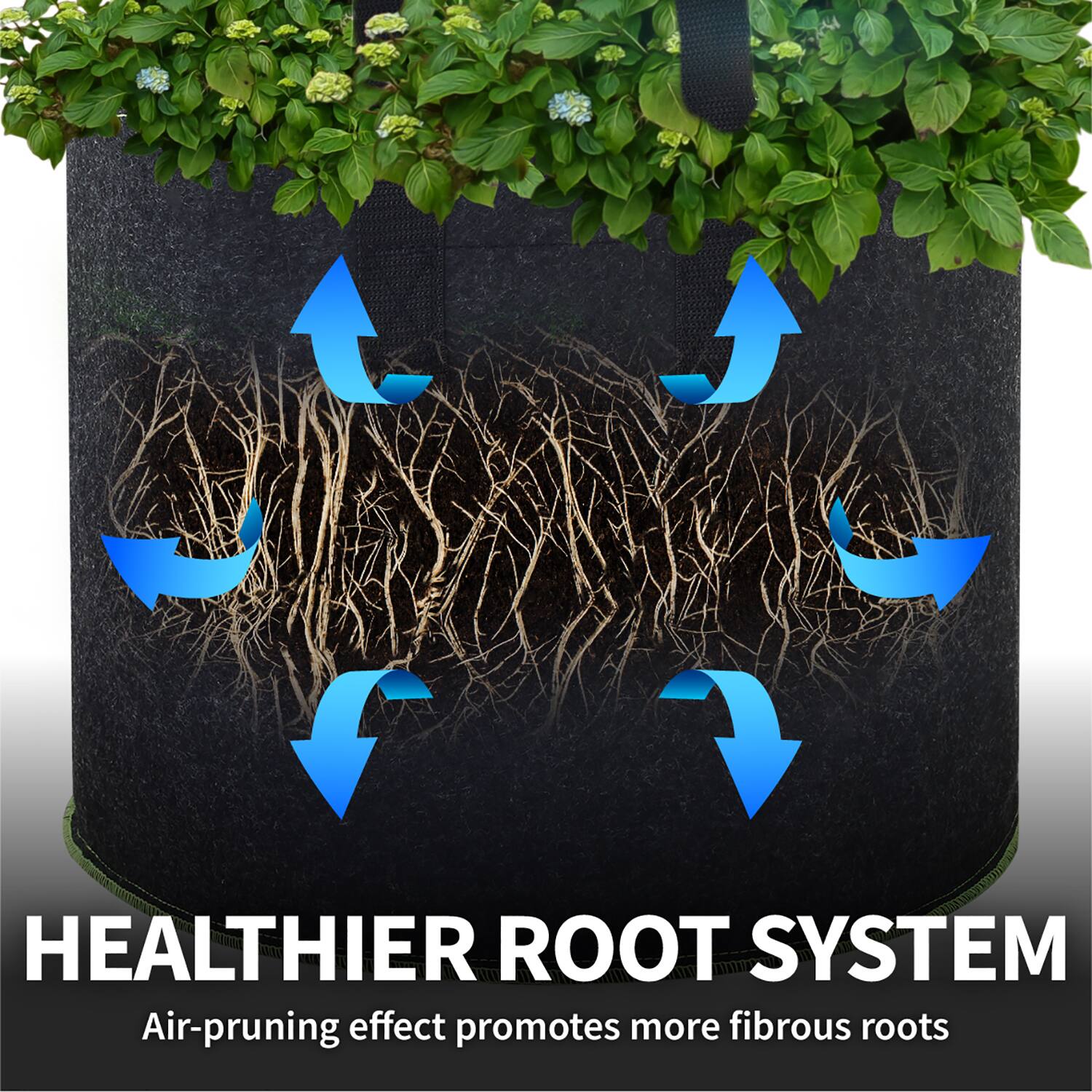 HEALTHIER ROOT SYSTEM  
Air-pruning effect promotes more fibrous roots
