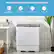 Portable & Compact Twin Tub Washing Machine + Portable & Compact Design + Strong Inner Tub + Safety Guarantee + Low Noise
